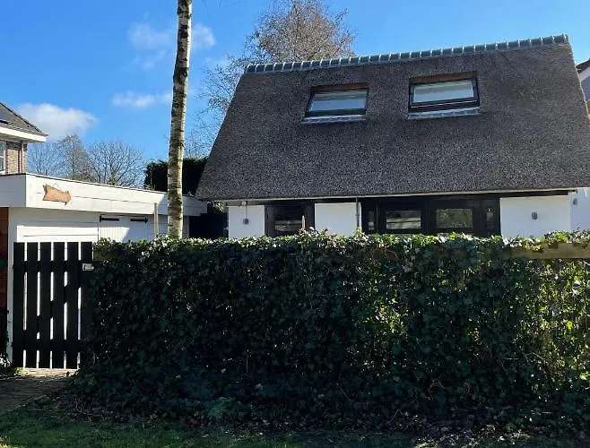 Sunny Appartement Bergen